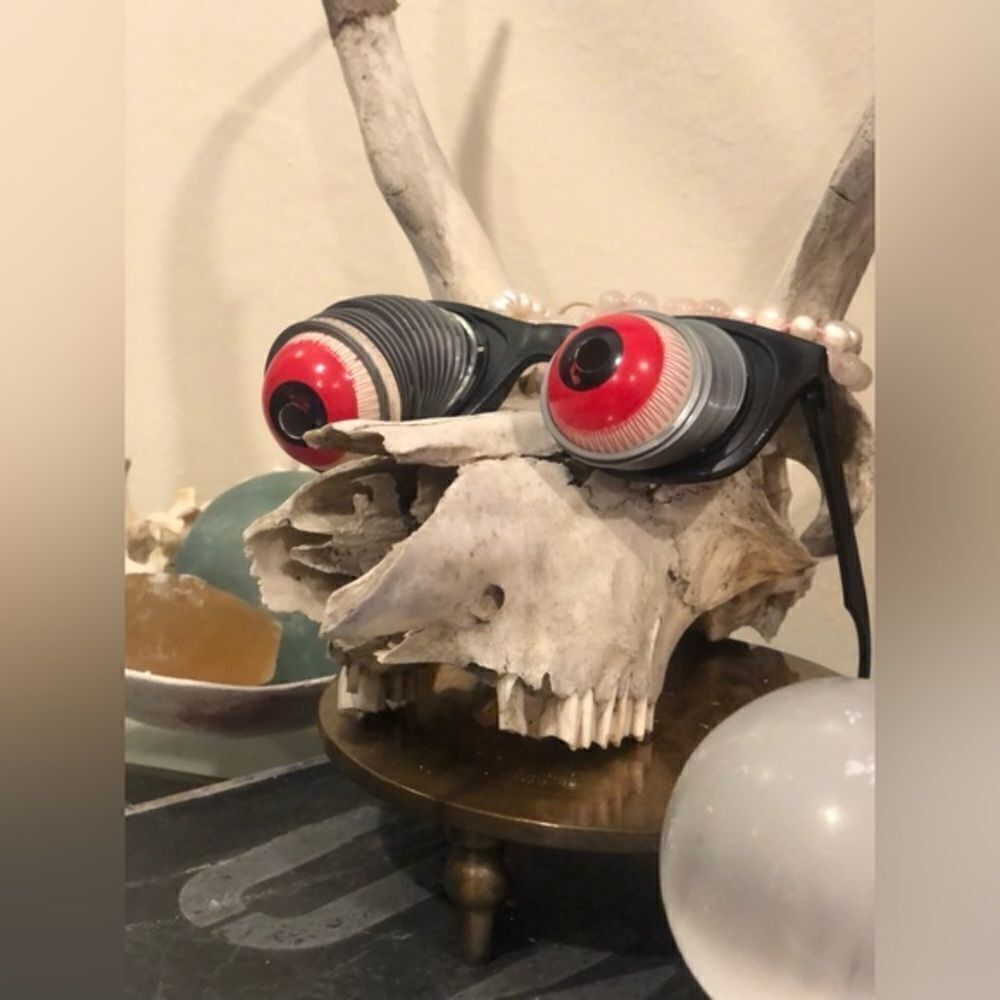 Vintage spring eyeball goofy glasses